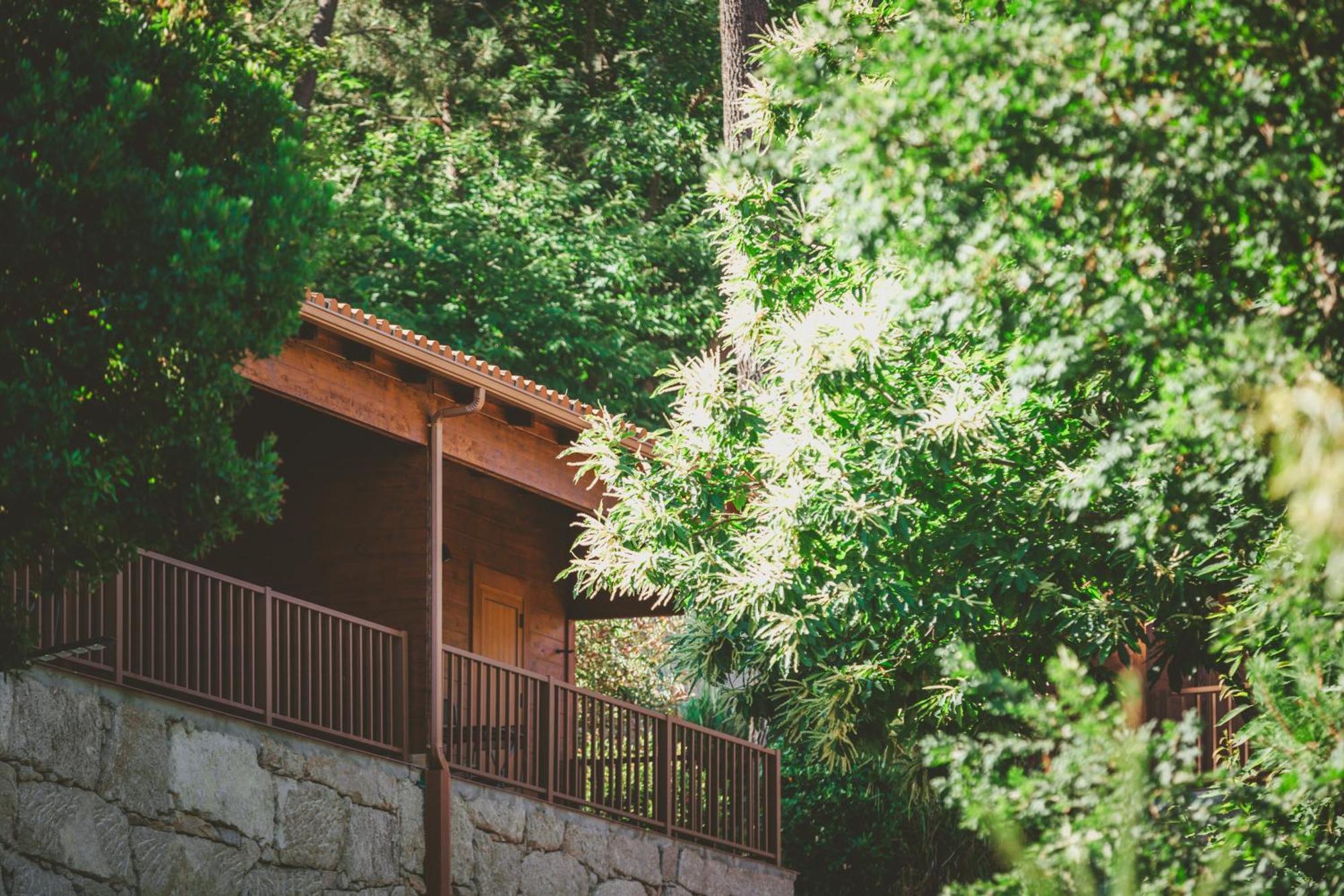 Quinta Do Lameiro Kompleks wypoczynkowy Tarouca